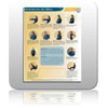 Prescription Pad - S...